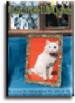 wpefc1c475.png